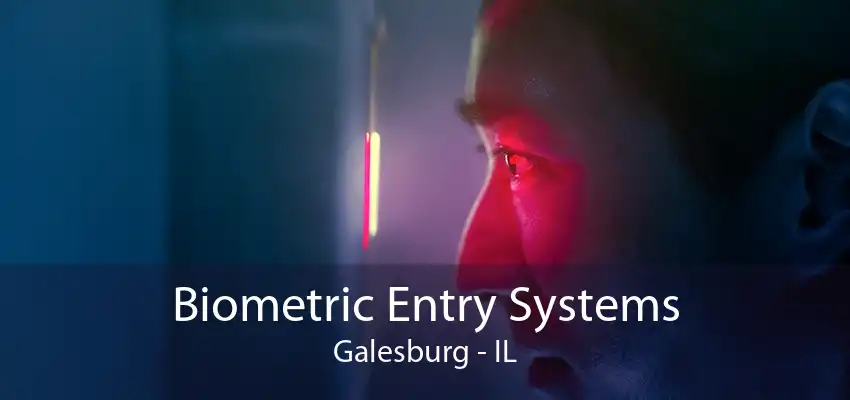 Biometric Entry Systems Galesburg - IL